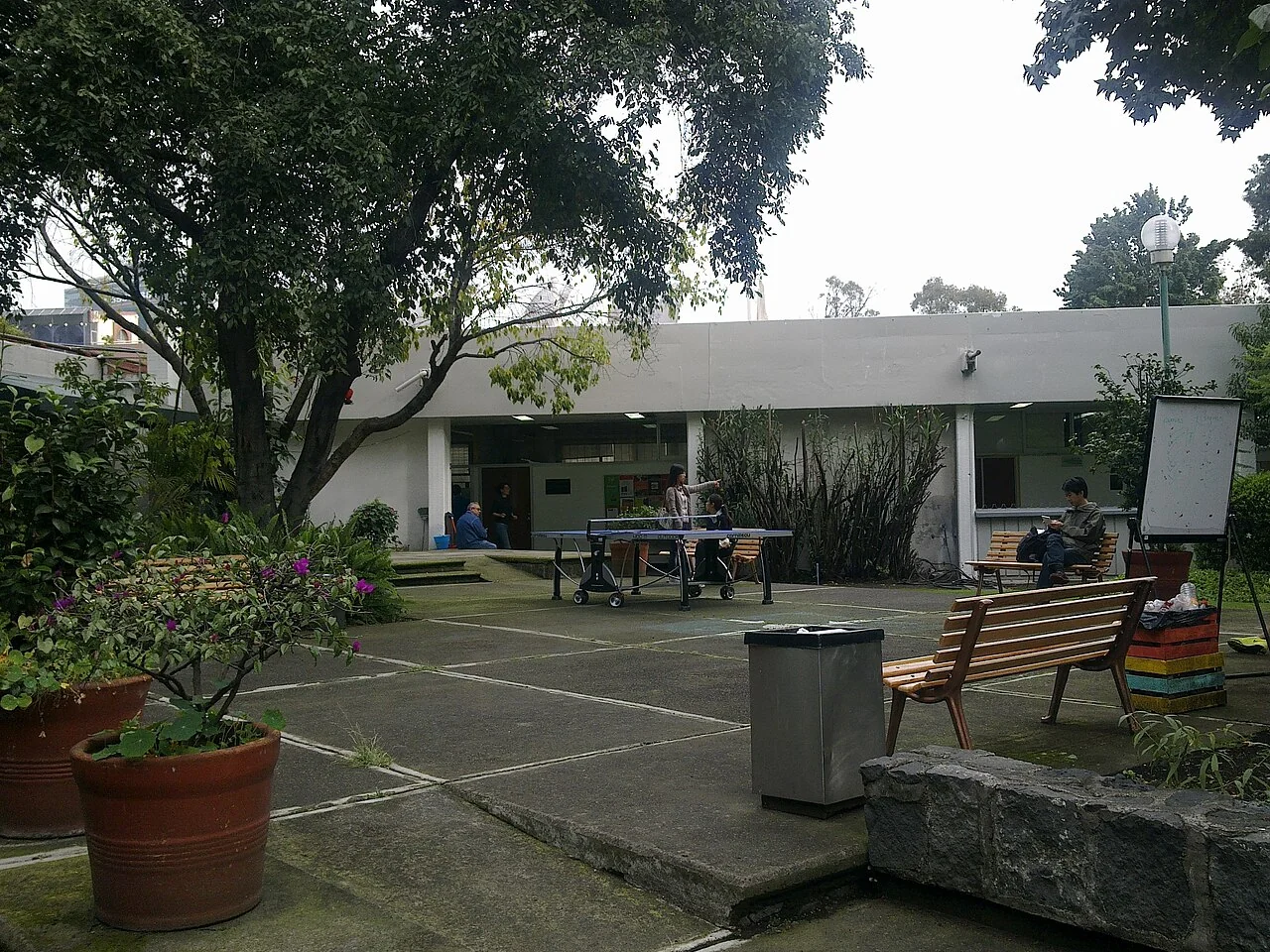 Patio arbolado del CEPE de la UNAM en Ciudad Universitaria.