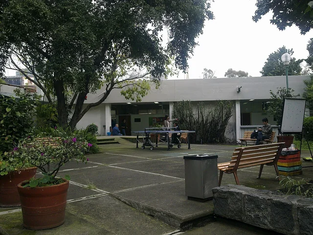 Patio arbolado del CEPE de la UNAM en Ciudad Universitaria.